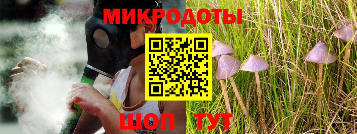Псилоцибиновые грибы прущие грибы Камень-на-Оби