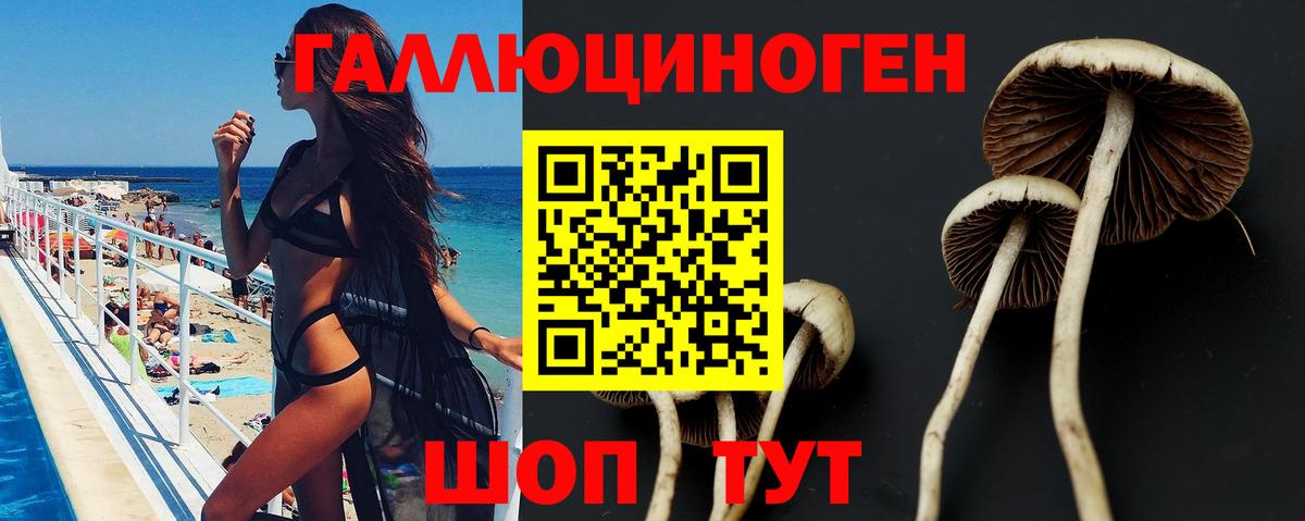 ГАШ  Камень-на-Оби  Меф МЯУ МЯУ кристаллы  ГЕРОИН  Марихуана  Cocaine  МЕТАМФЕТАМИН  Экстази  Кетамин 