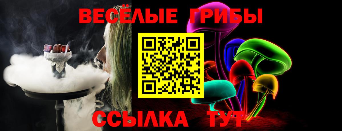 Псилоцибиновые грибы GOLDEN TEACHER  Вход с VPN  Камень-на-Оби 